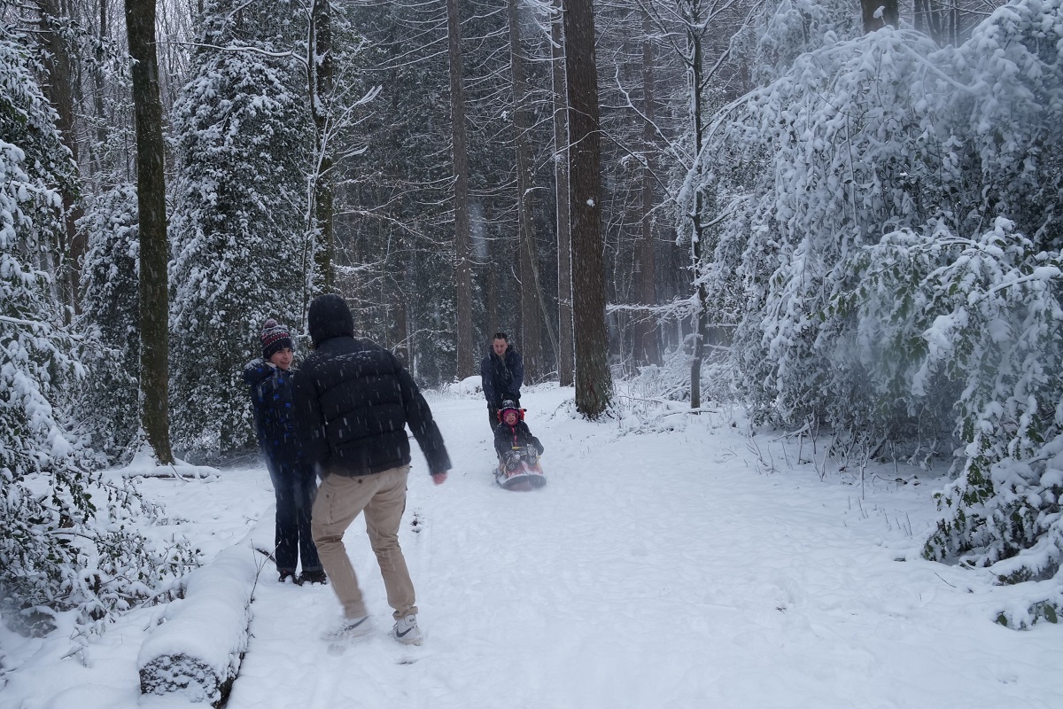 202401Schnee19fb